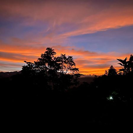 Ella Festoon Apartment ภายนอก รูปภาพ
