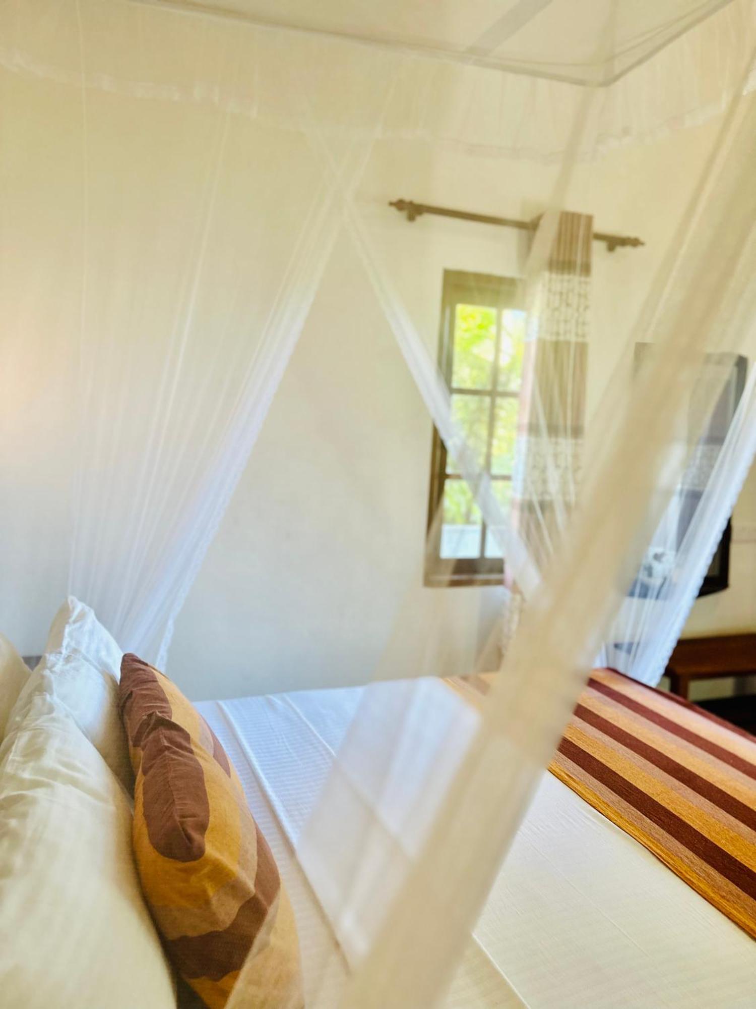 Ella Festoon Apartment ภายนอก รูปภาพ